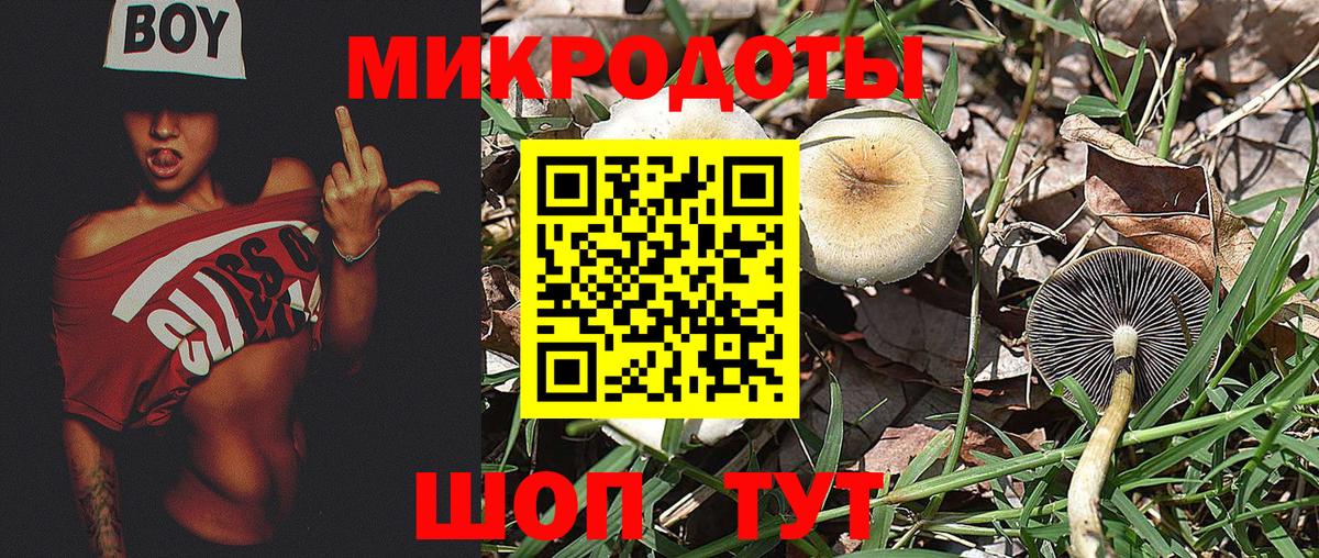 Псилоцибиновые грибы мухоморы  Вход с VPN  Усть-Лабинск 