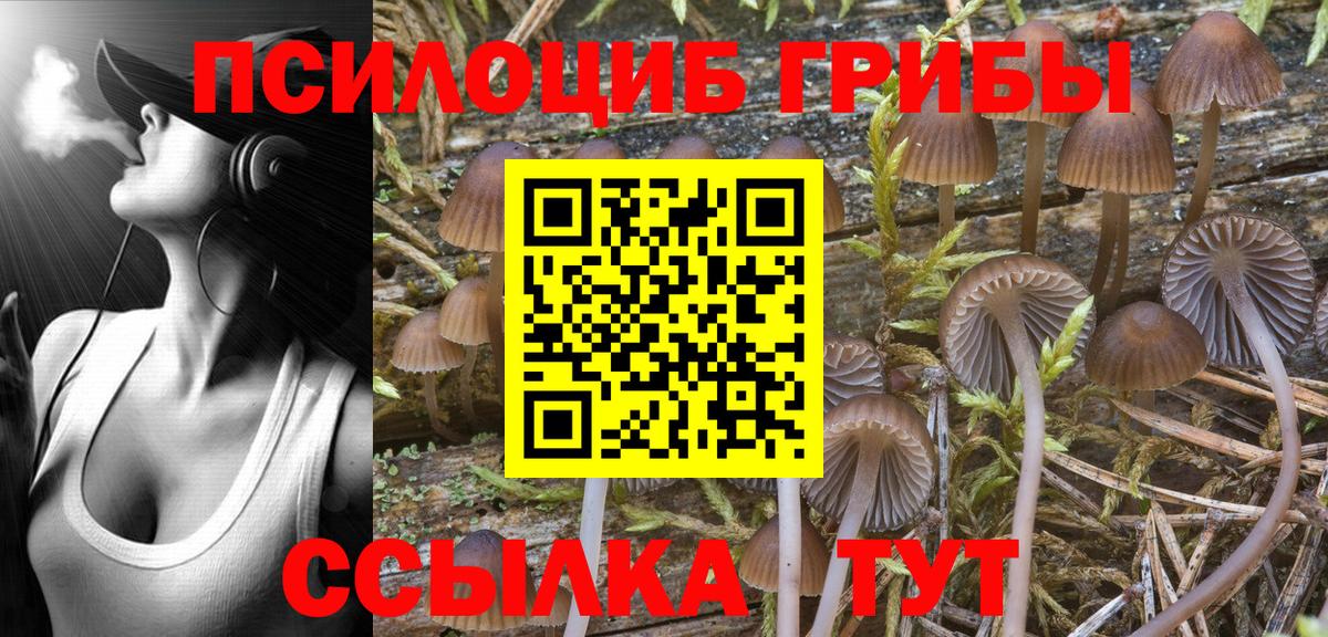 Псилоцибиновые грибы GOLDEN TEACHER Усть-Лабинск